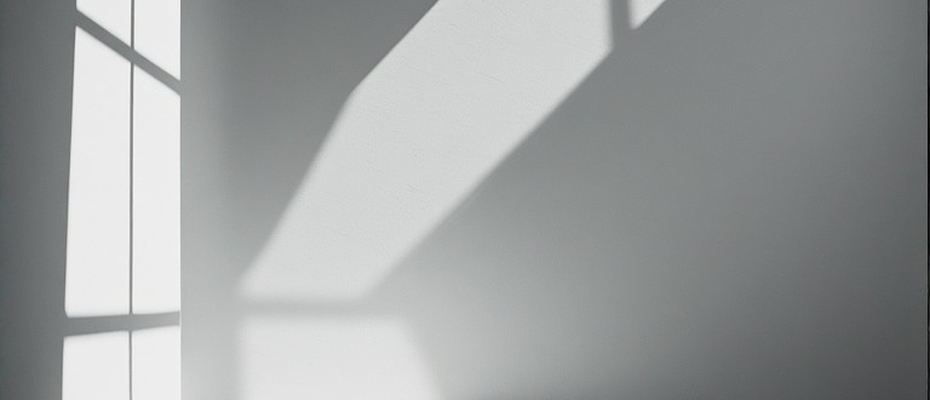 Операторы платных дорог