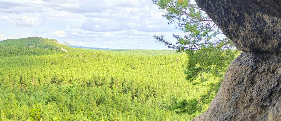 ответственность директора 