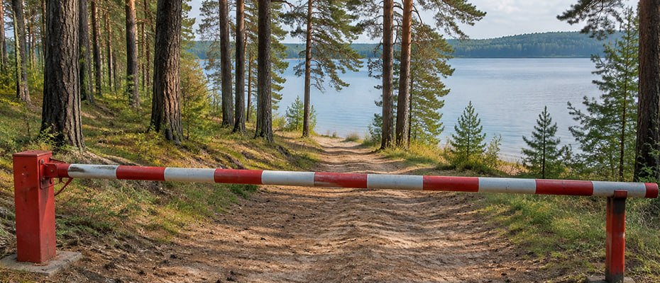 Расторжение аренды лесного участка